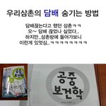 담배숨기기의 <b>달인</b>