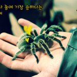 난 너가 좋아♥, 거미에게 쓰는 편지 