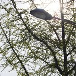 신사동가로수길 옷가게-[<b>From</b>_N.Y]을 가다