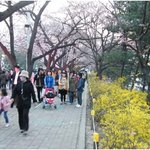 [<b>브루</b>미즈월드:지피시티] 아이들과 같이 공부하며 꾸미기 놀이했어요