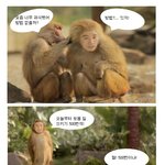 유세윤 개코원숭이의 뱃살빼기 방법!