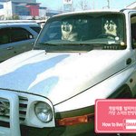 저 개<b>xx</b> 가 내 차 훔쳤어요 좀 잡아주세요…