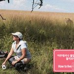 33살 노총각인 내가 바비인형을 사게 될 줄이야.