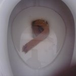 <b>친척</b>오빠와의 잠자리 ㅠ.ㅠ