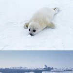 인증으로 더럽혀진 게<b>시판</b> 정화하기!!