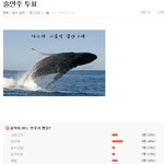해석<b>남녀</b> <b>인기</b>투표