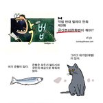 <b>금산</b>분리완화법 이대로 통과시킬건가요?