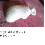 20살여자사람의 이야기