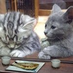 서울/경기 모여라 ★★★ 직접 보고 합시다!!