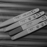 우리 '사랑이' <b>뱃속</b> 성장기(사진,동영상)