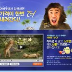 가격비교사이트 어바웃에서 검색하면 한번더할인된데요~