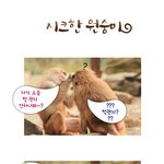 원숭이 광고를 패러디한 <b>시크</b>한 원숭이~~~!!!