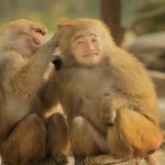 재미있는 <b>유세윤</b>표정 모아봤어요 ㅋ