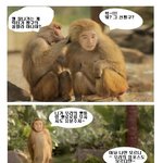 뽀통령의 인기는 어디까지일까? 개코원숭이 유세윤도 반해버린 뽀통령~