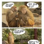팝콘값이 더 나오는 여보야를 위한 개코원숭이 유세윤의 강력<b>펀치</b>~