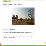 한강에서 <b>오리</b>배 꼭 둘이 타란 법 있나?