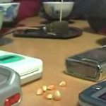 휴대폰 전자파가 <b>두뇌</b>를 팝콘처럼 튀긴다?