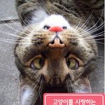 이게 토끼야 <b>고양</b>이야?