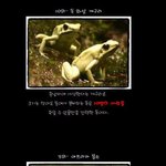 [펌]세상에서 가장 무서운동물 <b>best</b> 10