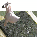 사진有 톡커들의 선택에서 <b>말</b>나온<b>김</b>에