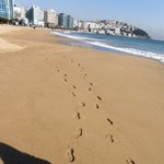 발자국