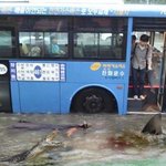 번호는 어느시기에 따야되요?