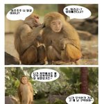 무식함이 주루룩 흐르는 개코<b>원숭이</b> 유세윤의 실수~ !! ㅎㅎ