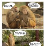 보험료 대박 맞은 유세윤 개코<b>원숭이</b> 가뜩이나 속이 부글부글~