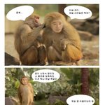 국민미친<b>자</b> 유세윤 제일 <b>잘</b> 어울리는 옷 ㅋㅋㅋㅋㅋ