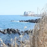 제주도 여행기 - 공항앞바다, 절물휴양림...