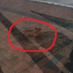 훈훈한 일을 겪었어요 ㅠㅠㅠㅠㅠ