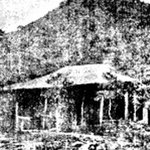 사이비 종교 단체 집단 자살 [백백교]