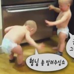 애기들이 어른들처럼 싸우는 <b>더빙</b>영상ㅋㅋ