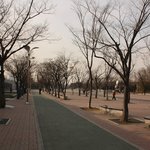 올림픽공원 몽촌토성 다녀온 후기! 