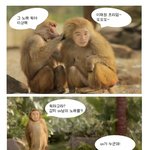 유세윤 <b>개코</b>원숭이에게 uv 얼굴없는 가수 취급받아..