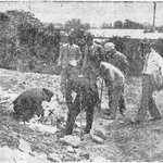 ☎ 일제강점기, 거리에 버려진 아기머리