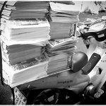 * 나를 울려주는 <b>봄비</b> *