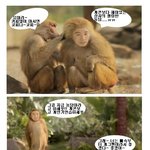 상사의 썰렁한 <b>농담</b>에 대처하는 개코원숭이 유세윤~