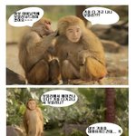 다가오는 어버이날~~ <b>효도</b>하세요~ 개코원숭이 유세윤도 고향간데요~...