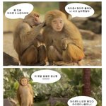 아이폰4 <b>화이트</b> vs 기다렸다 아이폰5 아님  갤<b>스</b>2??