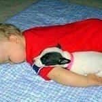 아기를 돌봐주는 <b>듬직</b>한 동물들