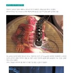 [펌/스압/실화]  복제인간은 이미 만들어졌다 ?외신보도