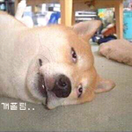 아 근데 진짜 완전 <b>졸리네</b> ㅠㅠ