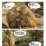 방귀에 대처하는 <b>개코</b>원숭이 유세윤~