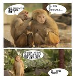 조건부 어린이날 선물~~~ 개코원숭이 유세윤네도 <b>예외</b>는 아닐듯.
