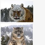 ★☆★☆<b>배짱</b>돋는 사진작가★☆