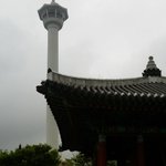 흔녀 홀로 떠난 12시간 부산 여행기!!