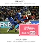 반도의 흔한 기자의 <b>작명</b>센스
