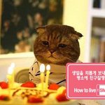 편의점 알바녀가 저한테 대시를 하네요..