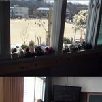 여고생의 풋풋한 학교생활(사진有)